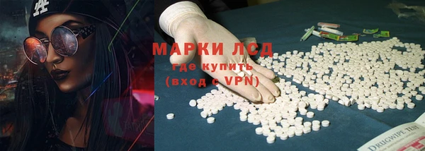 сатива Вязьма