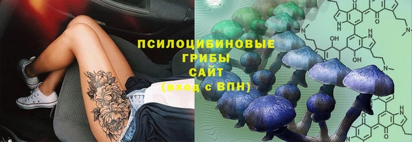 прущие крисы Вяземский